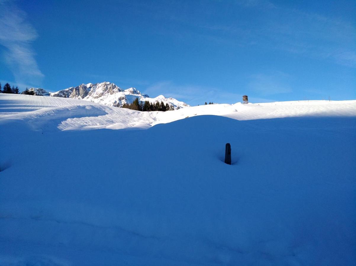 Appartements Haus Bergland Sankt Martin am Tennengebirge Εξωτερικό φωτογραφία
