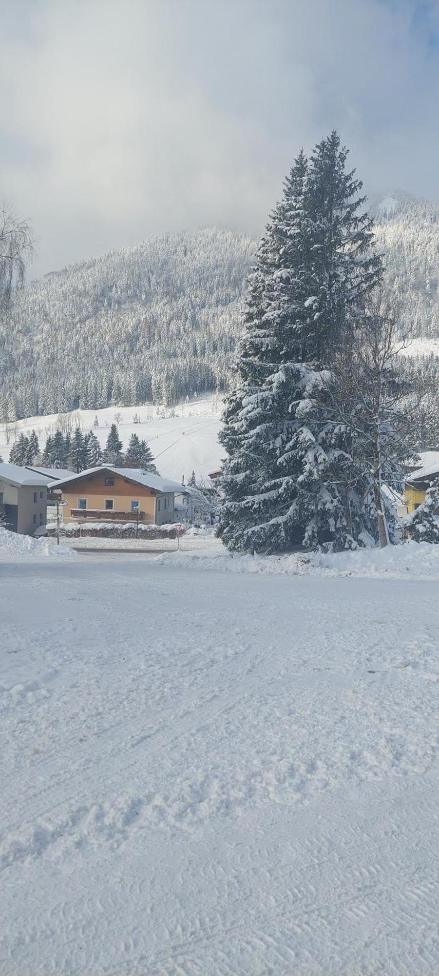 Appartements Haus Bergland Sankt Martin am Tennengebirge Εξωτερικό φωτογραφία
