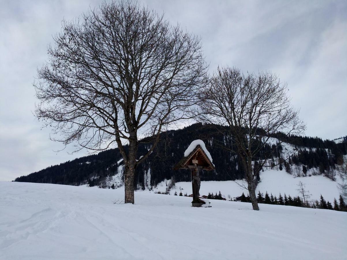 Appartements Haus Bergland Sankt Martin am Tennengebirge Εξωτερικό φωτογραφία
