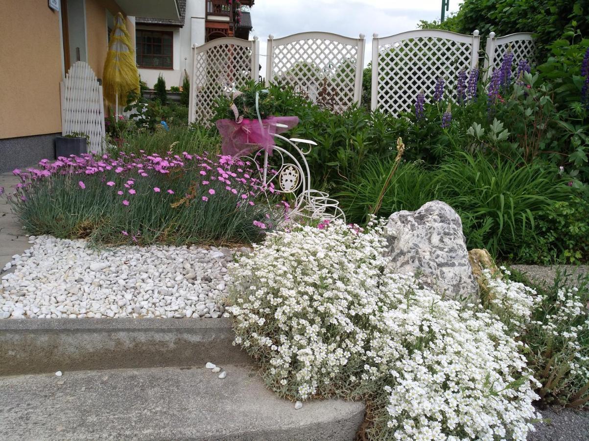 Appartements Haus Bergland Sankt Martin am Tennengebirge Εξωτερικό φωτογραφία
